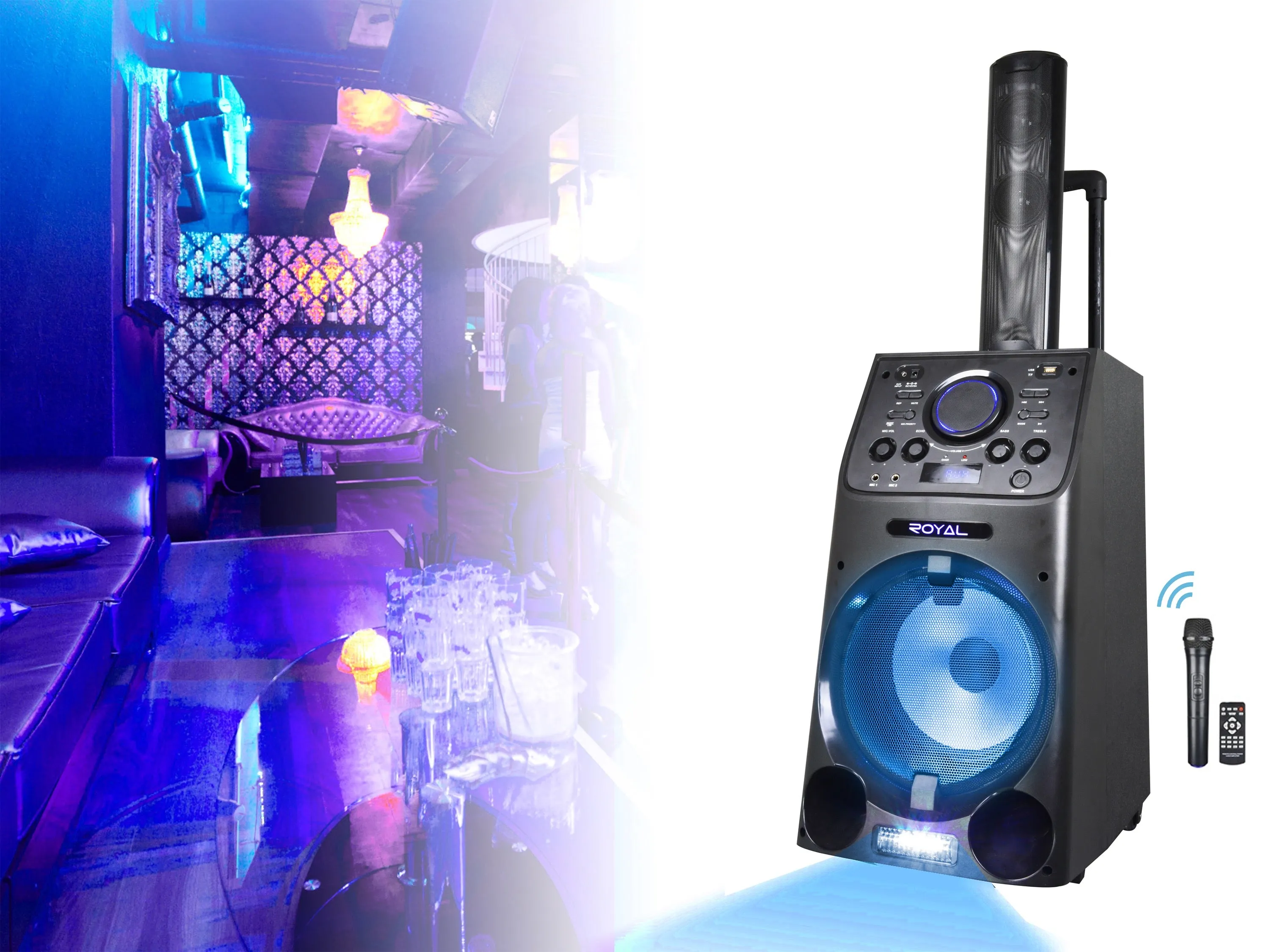 10'' Portable PA System with Rechargeable Battery & Wireless VHF Handheld Microphone
