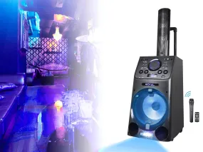 10'' Portable PA System with Rechargeable Battery & Wireless VHF Handheld Microphone