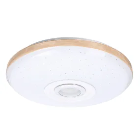 120W LED Ceiling Lamp Bluetooth Music Speaker Dimmable RGB Light Remote Control