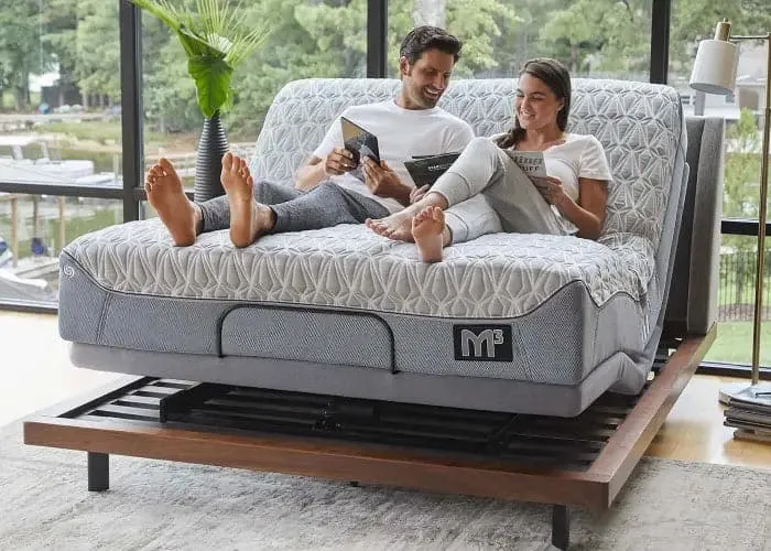Bedgear Flex LSX Electric Adjustable Lifestyle Bed Base Smart Bed