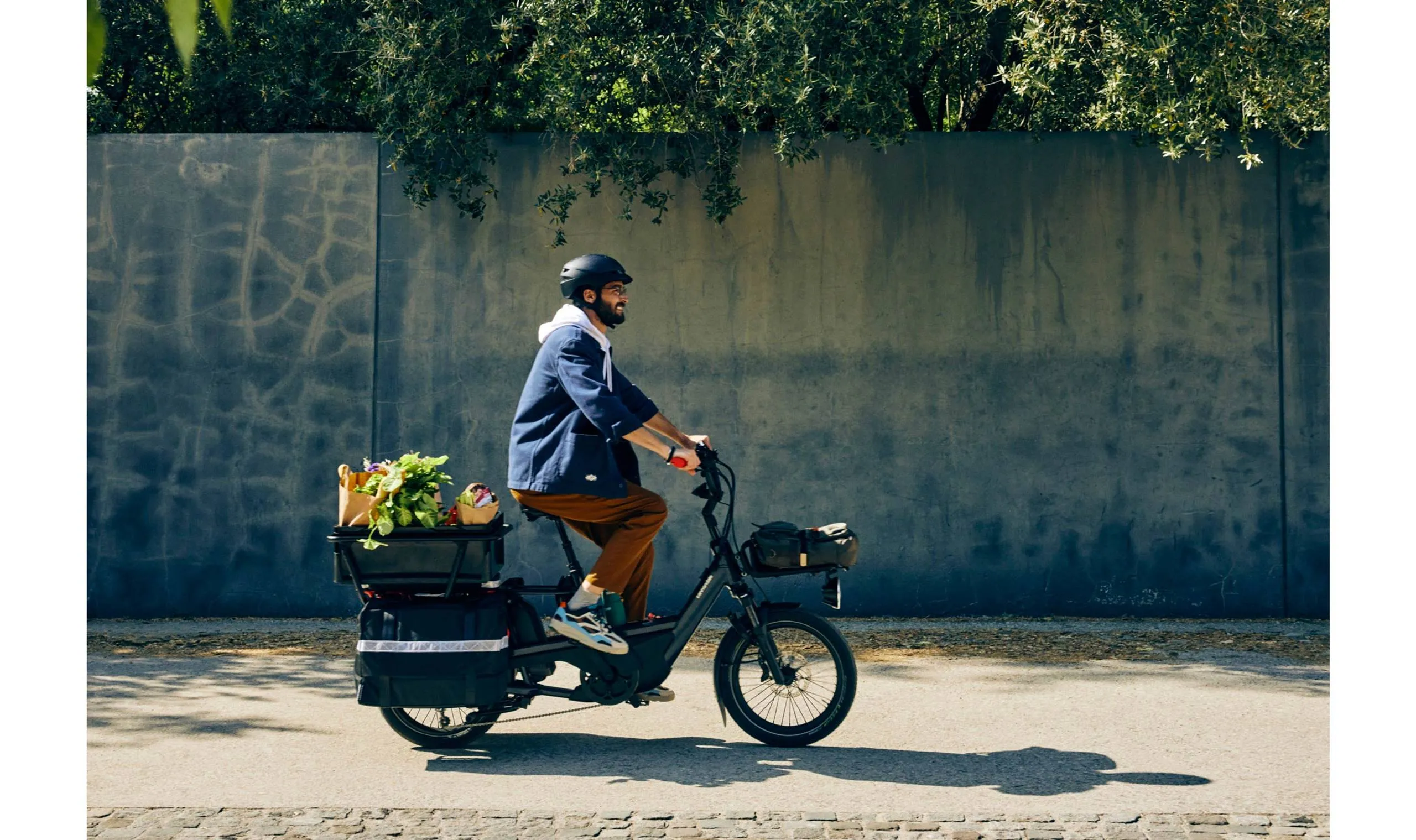 Cannondale Cargowagon Neo Electric Cargo Bike