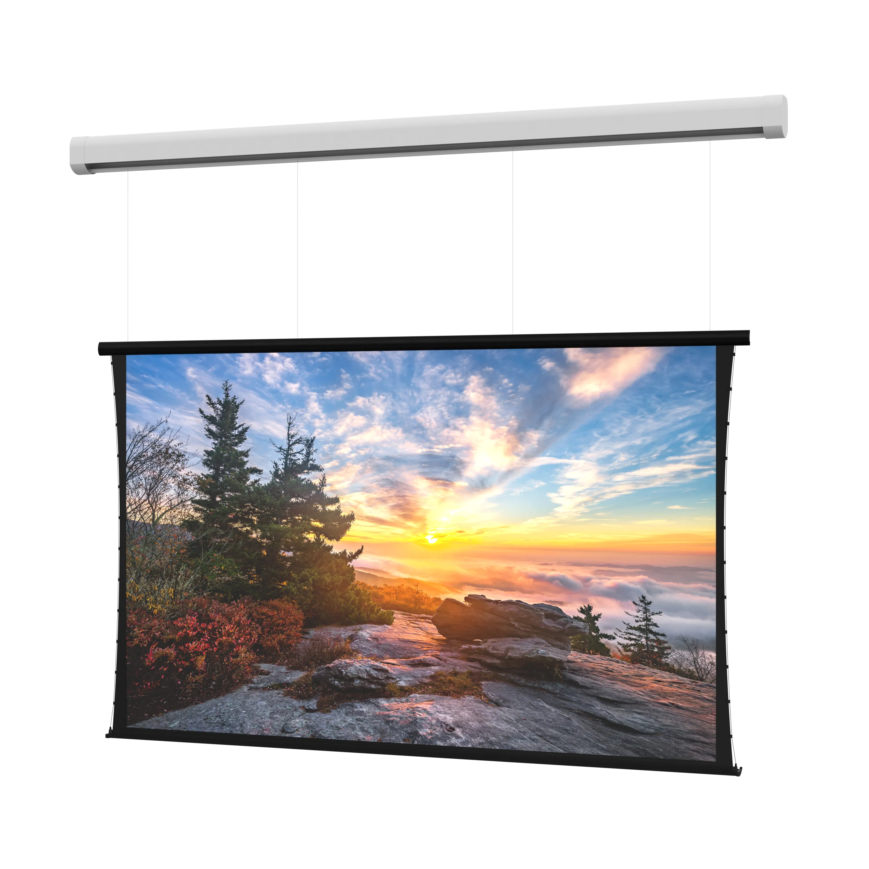 Da-Lite Myriad Tensioned Reveal SightLine Cable Drop 193" Diag. 16:9 Parallax Stratos 1.0 Electric Projector Screen