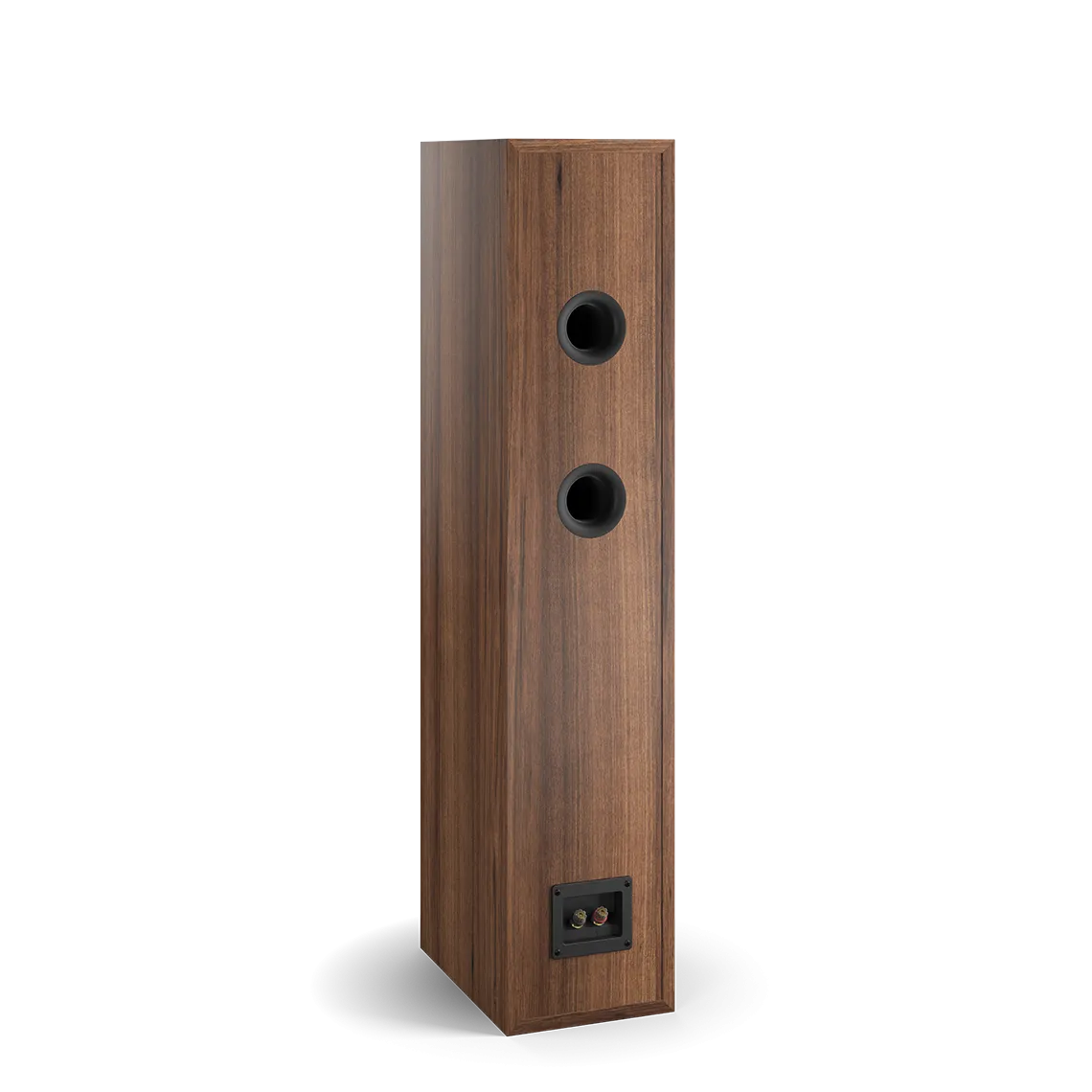 Dali Spektor 6 Floorstanding Loudspeaker (Each)