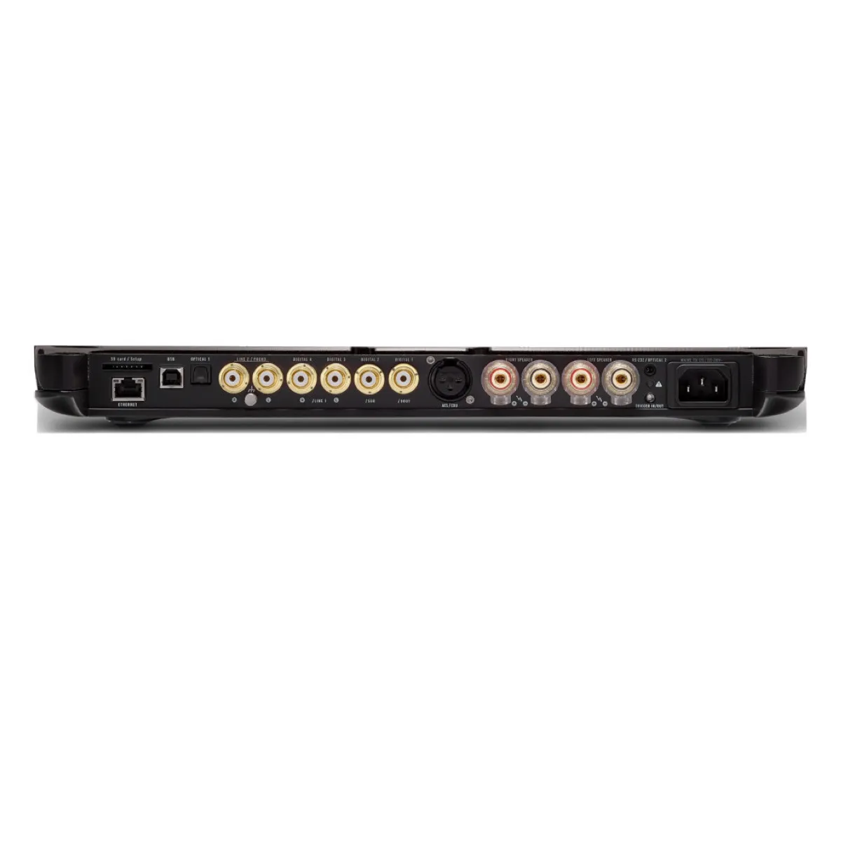 Devialet EXPERT 200