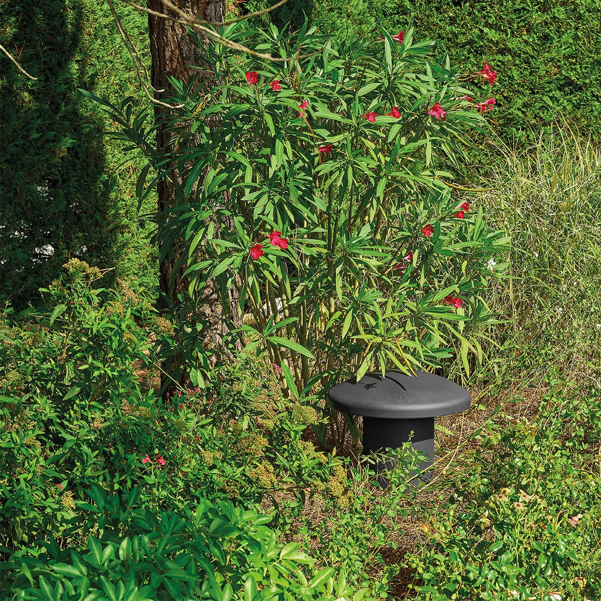 Focal Littora 4.1 Channel Outdoor Speaker Bundle (Dark)