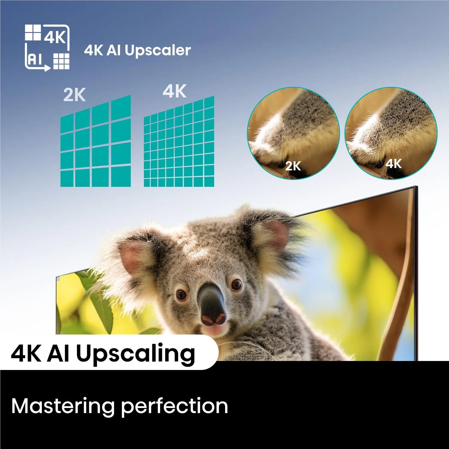 Hisense 50" Q6NAU 4K QLED Smart TV [2024]