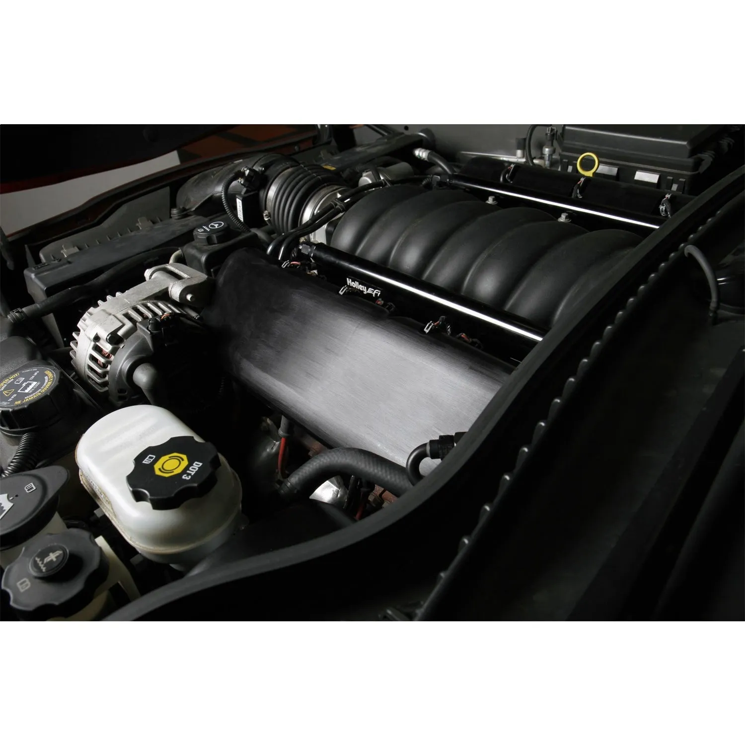 Holley EFI LS Hi-Flow Fuel Rail Kit - Includes Hose & Fittings