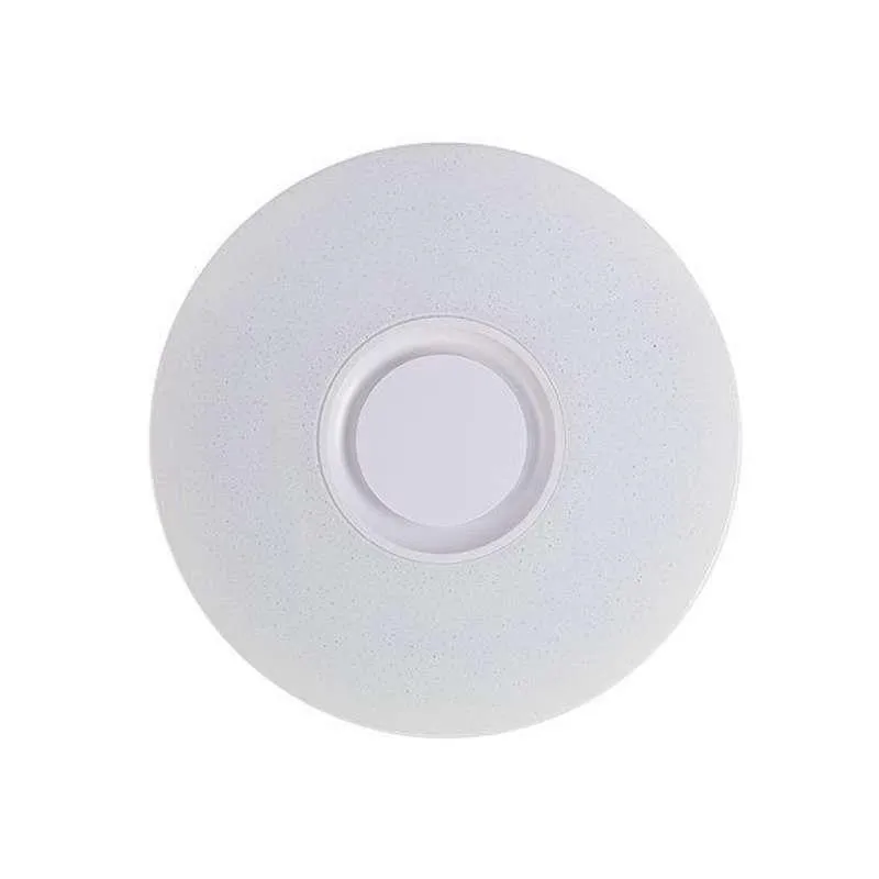 LED Flush Mount Ceiling Modern Light With Music