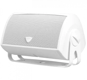 Montuojamos garso kolonėlės laukui DEFINITIVE TECHNOLOGY AW5500, 175W