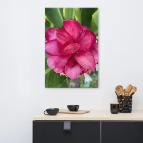 Pink Flower Canvas