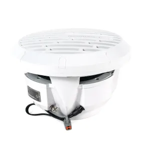 Roswell R1 10" Subwoofer | 2022 | Pre-Order