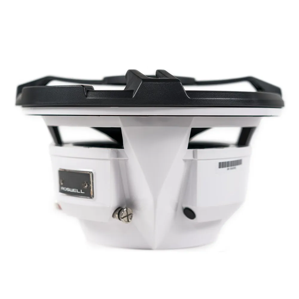 Roswell RMA 10" Subwoofer | 2022 | Pre-Order