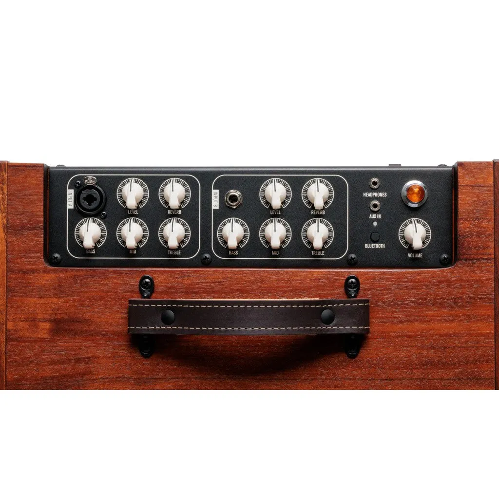 Taylor Circa 74 150-watt Acoustic Guitar and Vocal Amplifier